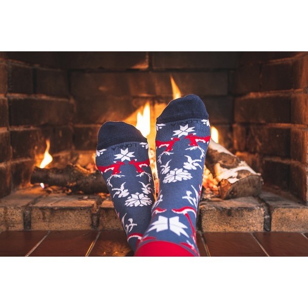 DAMERRY veselé vánoční ponožky Lonka - ZVÍŘÁTKA