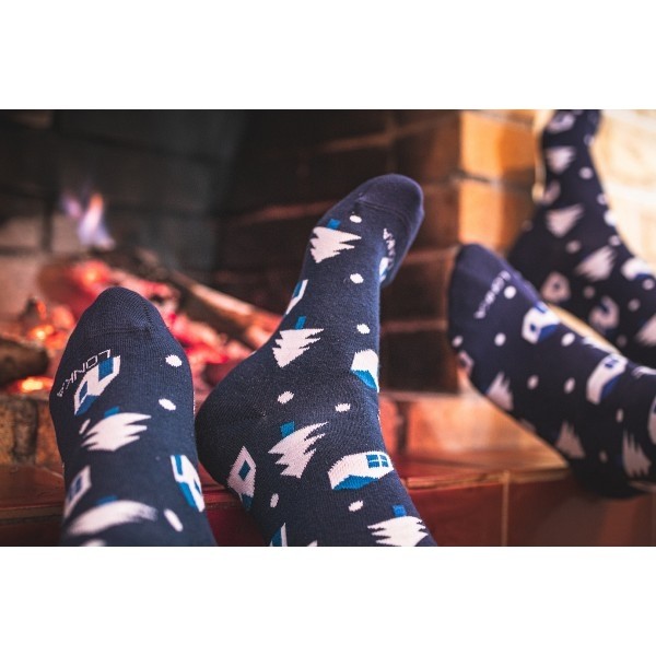 DAMERRY veselé vánoční ponožky Lonka - DOMEČKY